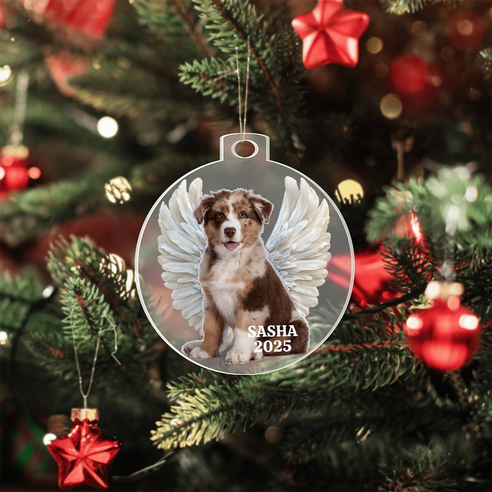 Unique Pet Memorial Acrylic Ornament Plaque. Personalized.